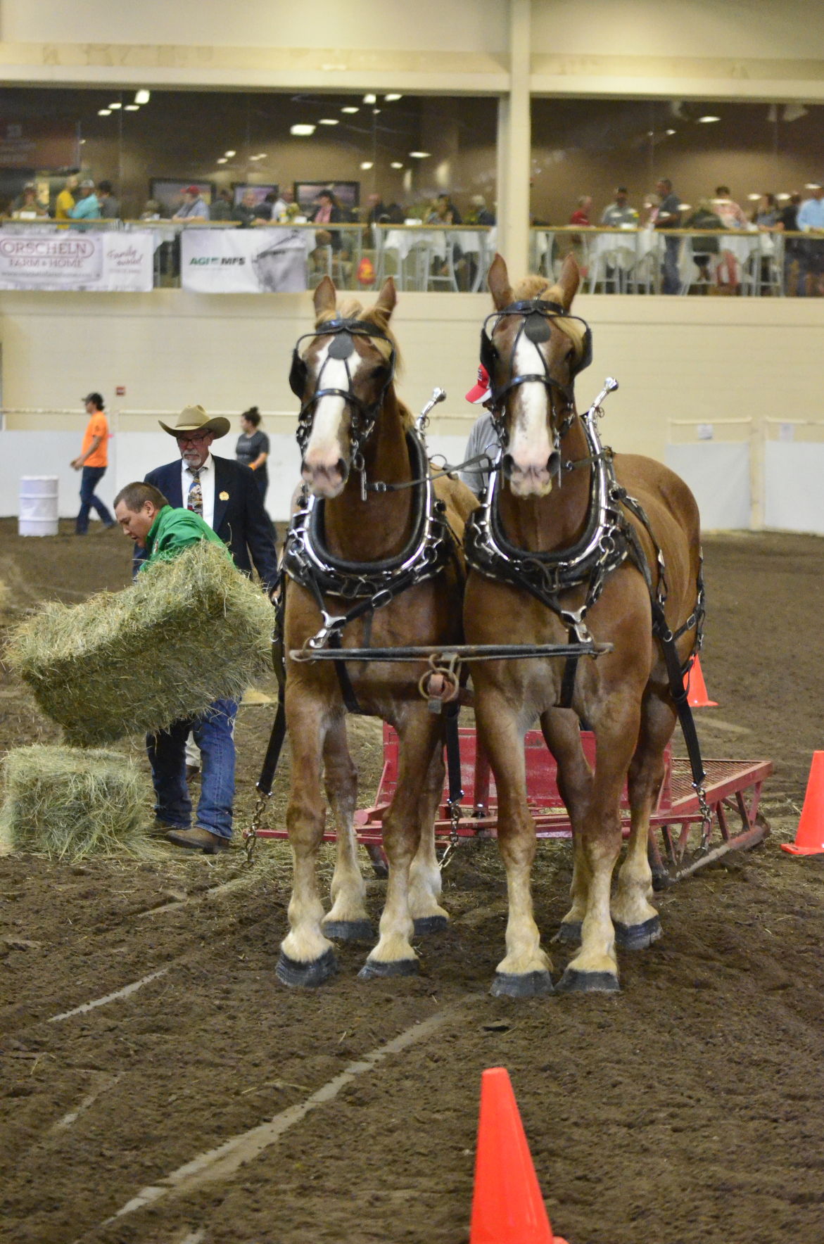 8-25-19 Draft Horse Hitch Final (10).JPG